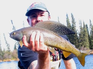 Photo of Grayling Caught by Dennis with Mepps Trophy Series in Alaska
