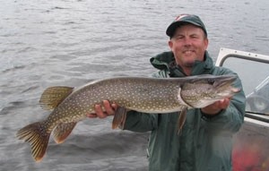 Photo of Pike Caught by Dennis with Mepps Giant Killer in Alaska
