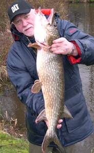 Photo of Pike Caught by Dieter with Mepps Aglia & Dressed Aglia in Netherlands