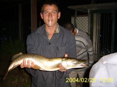 Photo of Pike Caught by Veselin with Mepps Musky Killer in Bulgaria