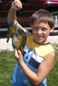 Photo of Bluegill Caught by David with Mepps Thunder Bug in Wisconsin