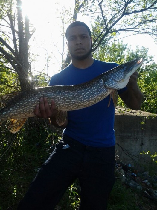 Photo of Pike Caught by Jason with Mepps Aglia & Dressed Aglia in United States