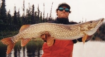 Photo of Pike Caught by Jim with Mepps Aglia & Dressed Aglia in Missouri