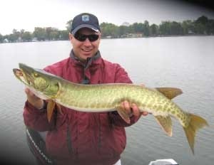 Photo of Musky Caught by Karl with Mepps Giant Killer in Michigan