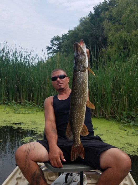 Photo of Pike Caught by Cruz with Mepps Black Fury in New York