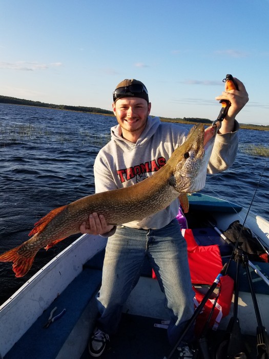 Photo of Pike Caught by Jim with Mepps Musky Killer in Maine