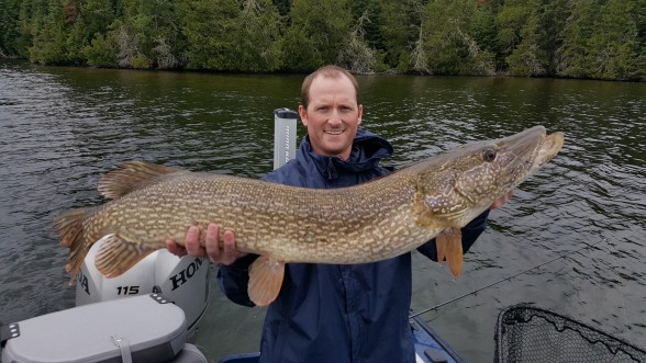 Photo of Pike Caught by Josh with Mepps Giant Killer in Ontario