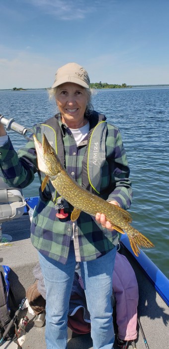Photo of Pike Caught by Debbie with Mepps Thunder Bug in New York
