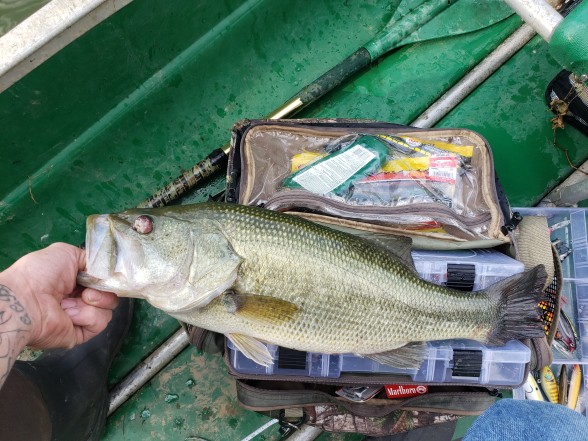 Photo of Bass Caught by Nick with Mepps Double Blade Aglia in New York