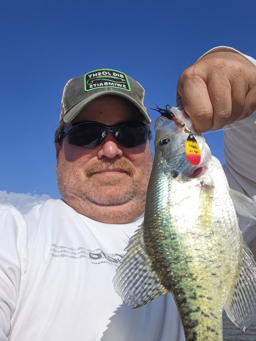 Photo of Crappie Caught by James with Mepps Aglia & Dressed Aglia in Ohio