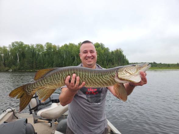 Photo of Musky Caught by Brian with Mepps Musky Killer in Wisconsin