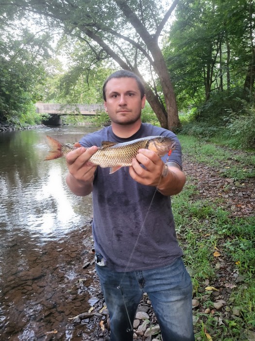 Photo of Fallfish Caught by Matthew with Mepps Aglia & Dressed Aglia in Pennsylvania