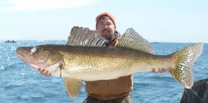Photo of Walleye Caught by Brett  with Mepps Giant Killer Sassy Shad in United States