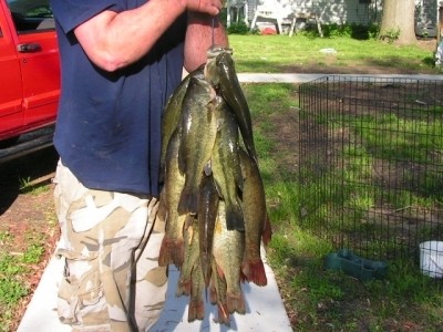 Photo of Bass Caught by Mark with Mepps Black Fury in Illinois