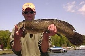 Photo of Bowfin Caught by Chad  with Mepps Black Fury in Michigan