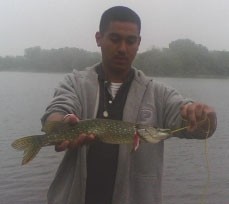 Photo of Pike Caught by Saul with Mepps Aglia & Dressed Aglia in Illinois