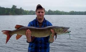 Photo of Musky Caught by Austin  with Mepps Musky Killer in Wisconsin