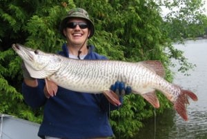 Photo of Tiger Muskie Caught by Buddy with Mepps  in Washington