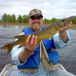 Photo of Pickerel Caught by Darren with Mepps Black Fury in New Brunswick