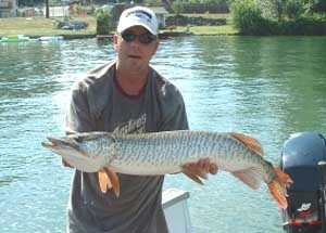 Photo of Musky Caught by Todd  with Mepps Musky Killer in Washington