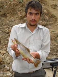 Photo of Trout Caught by Saeed with Mepps Aglia & Dressed Aglia in Iran
