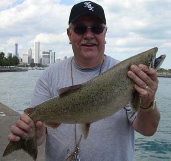 Photo of Steelhead Caught by Joe with Mepps Flying C in United States