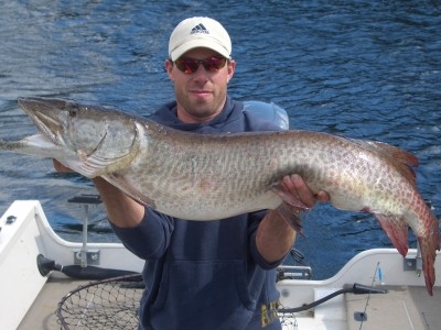 Photo of Musky Caught by Tim with Mepps Aglia & Dressed Aglia in Canada