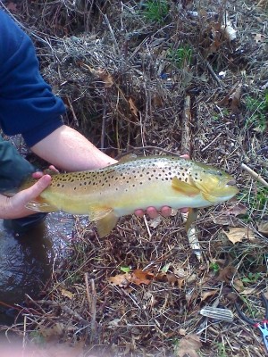 Photo of Trout Caught by Richard with Mepps Aglia Long in Virginia