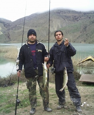 Photo of Pickerel Caught by Amir with Mepps Syclops in Iran