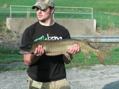 Photo of Musky Caught by Mike with Mepps Magnum Musky Killer in Pennsylvania