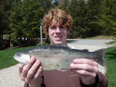 Photo of Trout Caught by Will with Mepps Aglia & Dressed Aglia in Massachusetts