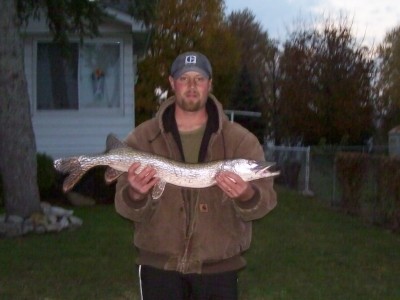 Photo of Pike Caught by Dave with Mepps Aglia & Dressed Aglia in Michigan