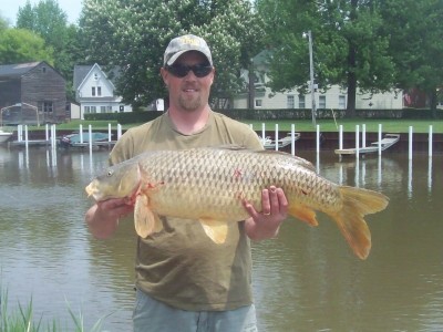 Photo of Carp Caught by Dave with Mepps Black Fury in Michigan
