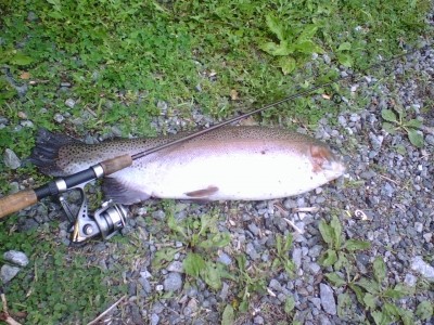 Photo of Trout Caught by Dave  with Mepps  in United States