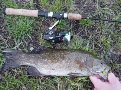 Photo of Bass Caught by Matt with Mepps XD in Michigan