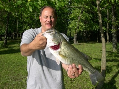 Photo of Bass Caught by George with Mepps Aglia Streamer in Illinois