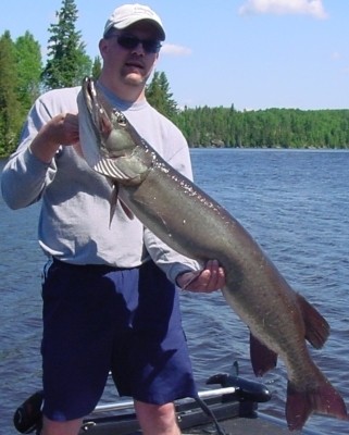 Photo of Musky Caught by Scott with Mepps Aglia & Dressed Aglia in Ontario