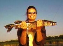 Photo of Pike Caught by Susan with Mepps Black Fury Ultra Lites in New York