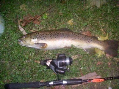 Photo of Trout Caught by James with Mepps Syclops in Pennsylvania