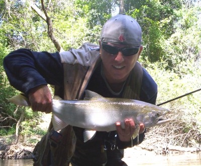 Photo of Salmon Caught by Ted with Mepps  in Indiana