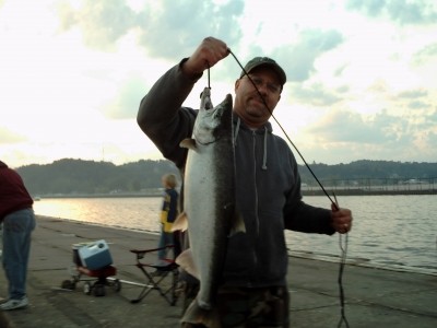 Photo of Salmon Caught by Mark with Mepps LongCast in Michigan