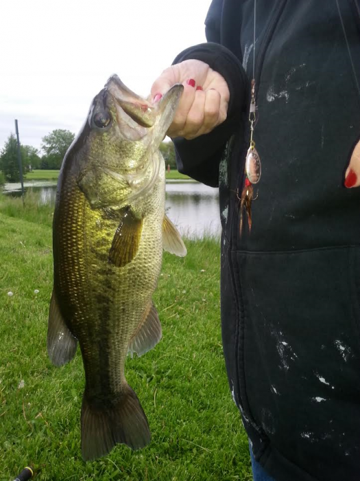 Photo of Bass Caught by Nicole with Mepps Aglia & Dressed Aglia in Illinois