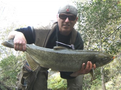 Photo of Salmon Caught by Ted with Mepps Aglia & Dressed Aglia in Indiana