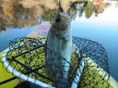 Photo of Bass Caught by Raymond with Mepps Aglia & Dressed Aglia in North Carolina