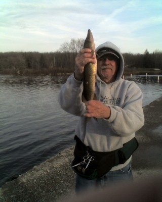 Photo of Pickerel Caught by Philip with Mepps Syclops in Pennsylvania