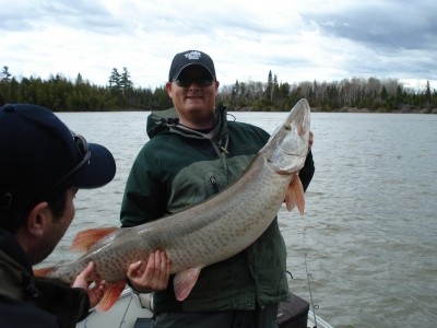 Photo of Musky Caught by Scott with Mepps Giant Killer in Ontario