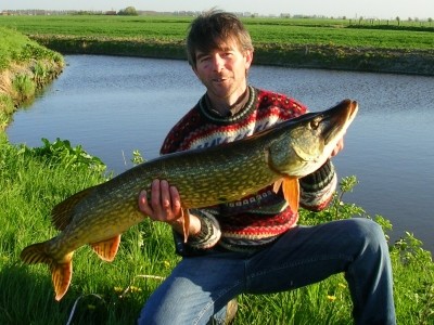 Photo of Pike Caught by Geert with Mepps Aglia & Dressed Aglia in Belgium