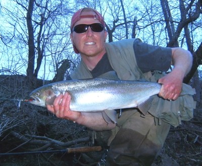 Photo of Steelhead Caught by Ted with Mepps Aglia & Dressed Aglia in Indiana