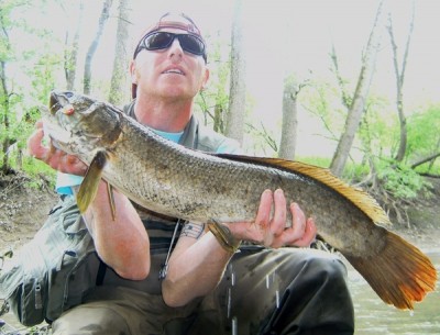 Photo of Bowfin Caught by Ted with Mepps Aglia & Dressed Aglia in Indiana