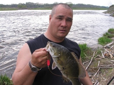 Photo of Bass Caught by Jean-Marc  with Mepps Aglia & Dressed Aglia in Quebec